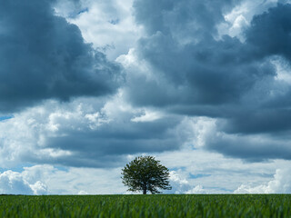 Wolken &uuml;ber Baum