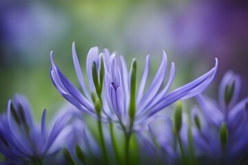 Fototapeta premium African lily bokeh background, AI Generated