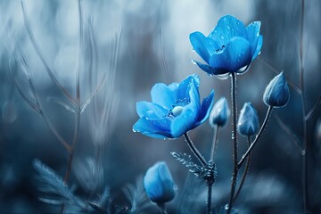 A blue flower with a few drops of water on it. The flower is surrounded by green leaves and branches