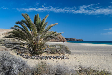 Krajobraz morski, tropikalna piaszczysta plaża, widok na horyzont, wakacje i wypoczynek w...