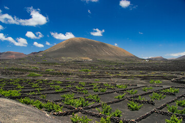 Krajobraz wulkaniczny, słoneczny dzień, La Geria, dzika przyroda i uprawa winogron, tapeta, egzotyczne tło, Lanzarote © anettastar
