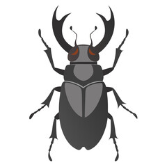 Stag Beetle Illustration vector