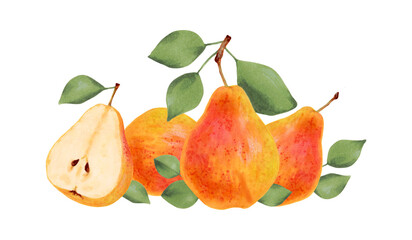 Composition of yellow pears with leaves. Botanical watercolor, marker illustration. Organic food sketch. Hand drawn isolated art. Pictures of healthy fruits from the tree for juice design, menu