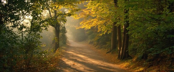 Obraz premium Autumn forest path