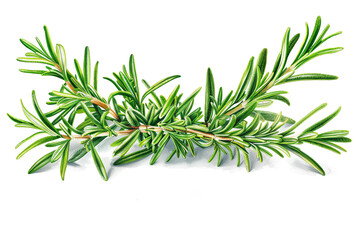 Fototapeta premium Rosemary, isolated on white background.