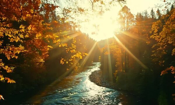 Golden Autumn River: A serene landscape bathed in the warm glow of a setting sun. The river winds through a forest ablaze with fall colors, creating a breathtaking scene of tranquility and natural bea