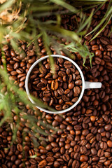Obraz premium coffee beans in a cup and a green plant in foreground