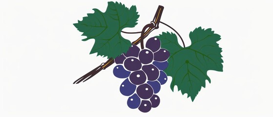 A simple illustration of grapes, with only one in the center of the image, is a symbol of art. Dynamic on a clean white background.