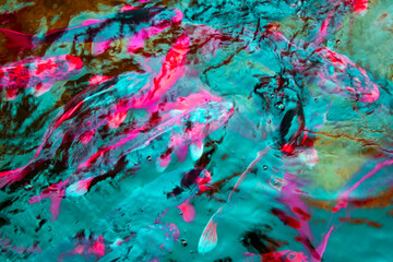 Colorful fishes in the water of the pond. Abstract background.