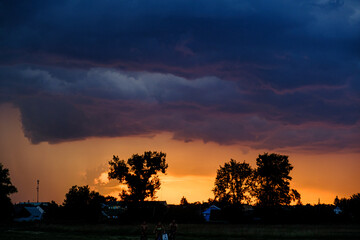 sunset over the forest