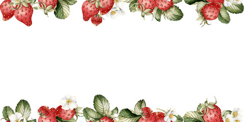 Strawberry, berries with white flowers and leaves, watercolor isolated illustration. Seamless border, horizontal frame