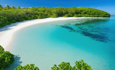 Obraz premium Drone shot of Tropical Beach Paradise