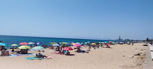 people on the beach