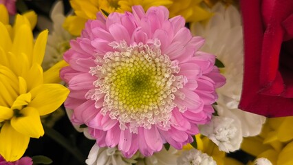 Many types of flowers for background