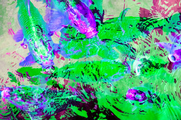 Colorful fishes in the pond, close-up, abstract background