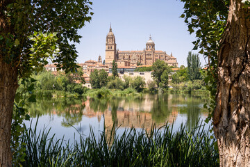 Panoramic view over Salamanca cathedral through the trees, Spain