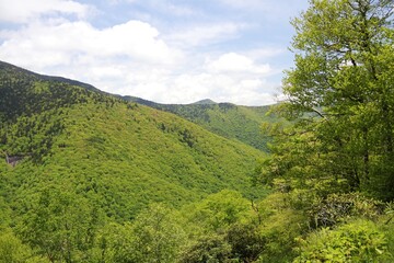 Obraz premium Area of Blue Ridge Parkway – USA