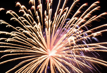 fireworks in the night sky