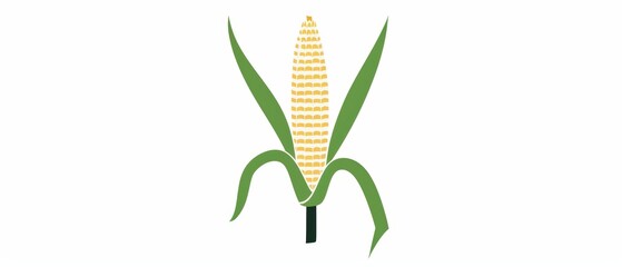Obraz premium A simple illustration of a baby corn, with only one in the center of the image, is a symbol of art. Dynamic on a clean white background.