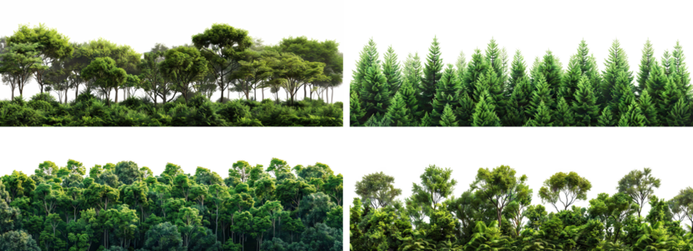 Set of lush green forests, cut out
