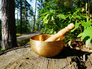Singing bowl on a cut tree trunk, with a forest path in the background