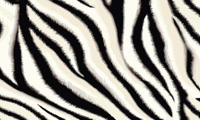 Detailed White Tiger Skin Pattern Vector Illustration With Wild Texture. Animal Striped Skin Fur Pattern Texture Background