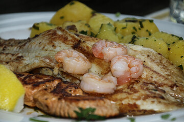 plate with grilled fish, salmon, pangasius, sea bream, scampies, rice, potatoes and lemon, seafood, parsley,