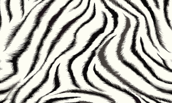 White Tiger Skin Pattern Vector Illustration Exotic Texture. Animal Striped Skin Fur Pattern Texture Background
