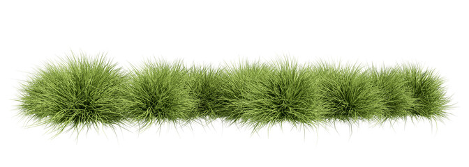 Meadow grass row prairie cutout transparent background 3d rendering 