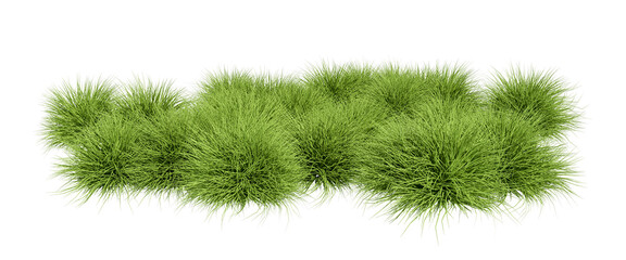 Grass shurbs isolated on white background © Buffstock