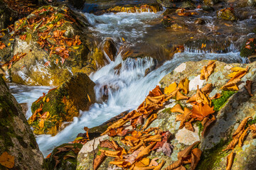 Closeup of Rocky Fork Creek cascades in Rocky Fork State Park, Tennessee.