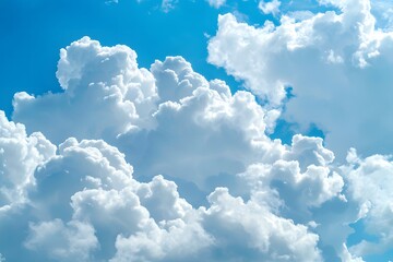 The tropical blue sky with white fluffy clouds is perfect for a background with copy space.