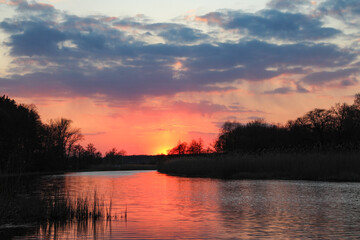 Scarlet sunset in spring on a river flowing next to the forest, small clouds in the sky.
