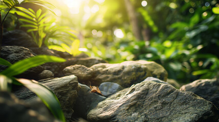 Green fern leaf texture Nature background, tropical leaves, rocks and trees, stream.