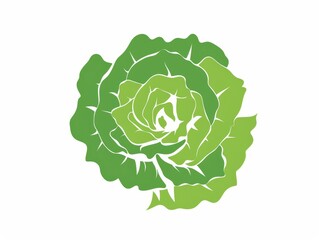 Fototapeta premium A simple illustration of a lettuce, with only one in the center of the picture, is a symbol of art. Dynamic on a clean white background.