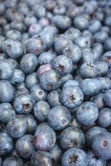 Close up photo of fresh organic blueberries, selective focus.