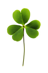 Lucky clover St Patrick Day Irish holiday shamrock symbol isolated transparent png