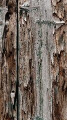 Weathered planks with a hint of faded green paint - Detail of a century old barn in the Netherlands (Achterhoek).