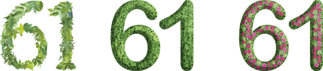 61, design made from green grass, leaves and flower, .suitable for birthday, anniversary and memorial day templates, go green concept	
