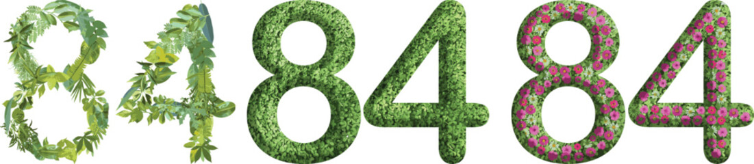 84, design made from green grass, leaves and flower, .suitable for birthday, anniversary and memorial day templates, go green concept	
