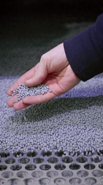 The hand touches the microplastic granules from the extruder. Plastic or polypropylene pellets on the conveyor belt of the machine. The engineer checks or inspects the raw materials for processing.