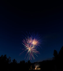 Fototapeta premium Firework 8