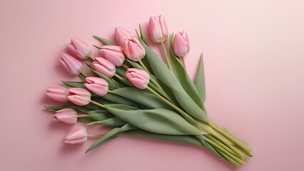 bouquet of tulips, Pink tulip photo with pink background, copy space, pink background layout