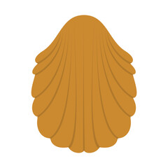 seashell vector, silhouette, vector illustration, abstract, art, 3d rendering