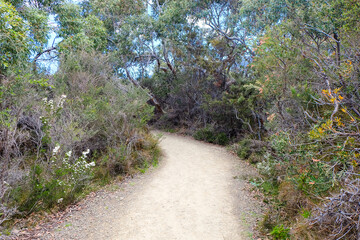 Tasman Arch, Devil's kitchen and the Blow hole, Tasmania, Hobart, Australia 