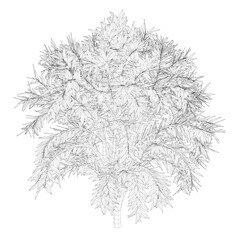 Fototapeta premium 3D illustration of tree and plant