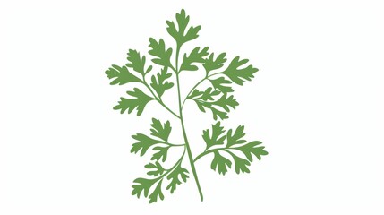 A simple illustration of a single parsley in the center is a symbol of art. Dynamic on a clean white background.