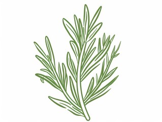 Fototapeta premium A simple illustration of a single rosemary in the center of the image is a symbol of art. Dynamic on a clean white background.