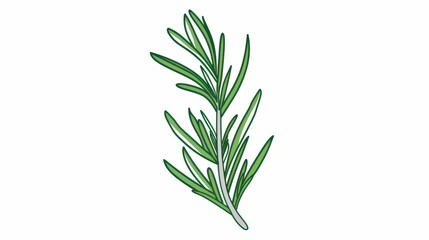 Fototapeta premium A simple illustration of a single rosemary in the center of the image is a symbol of art. Dynamic on a clean white background.