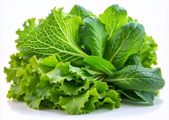 Fototapeta premium Fresh bunch of crisp verdant salad leaves with delicate textures and vibrant green hues, isolated on a clean white transparent background, perfect for culinary designs.